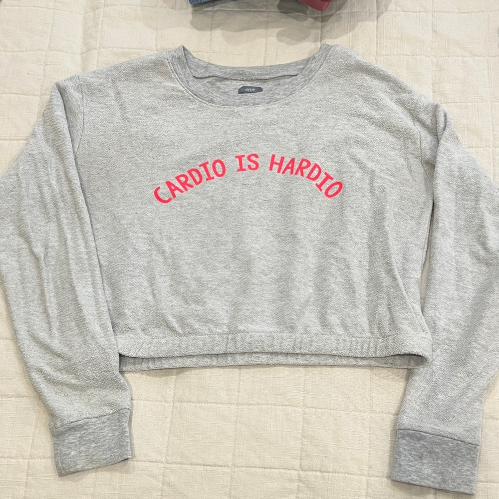 Aerie Gray and Red Crew Neck Sweater